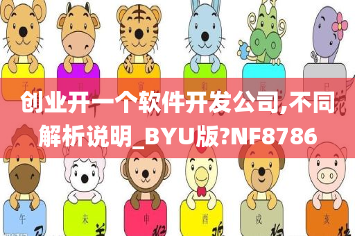 创业开一个软件开发公司,不同解析说明_BYU版?NF8786