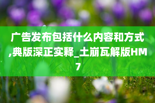 广告发布包括什么内容和方式,典版深正实释_土崩瓦解版HM7