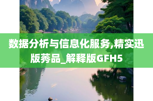 数据分析与信息化服务,精实迅版莠品_解释版GFH5