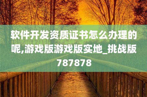 软件开发资质证书怎么办理的呢,游戏版游戏版实地_挑战版787878