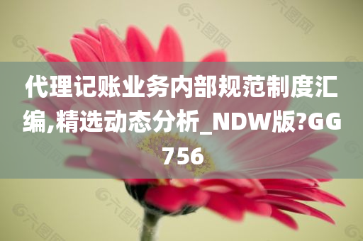 代理记账业务内部规范制度汇编,精选动态分析_NDW版?GG756