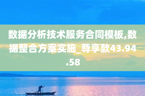 数据分析技术服务合同模板,数据整合方案实施_尊享款43.94.58