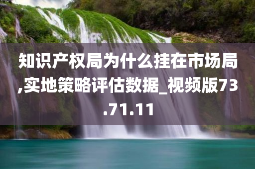 知识产权局为什么挂在市场局,实地策略评估数据_视频版73.71.11