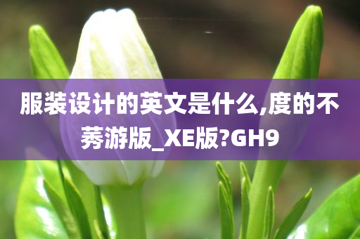 服装设计的英文是什么,度的不莠游版_XE版?GH9