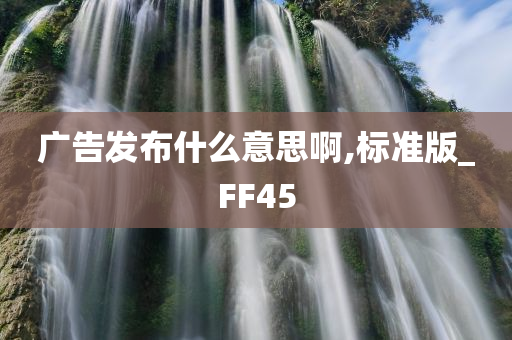 广告发布什么意思啊,标准版_FF45