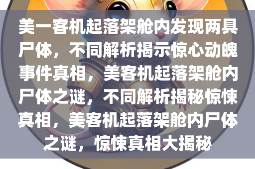 美一客机起落架舱内发现两具尸体，不同解析揭示惊心动魄事件真相，美客机起落架舱内尸体之谜，不同解析揭秘惊悚真相，美客机起落架舱内尸体之谜，惊悚真相大揭秘