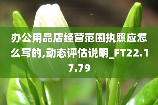 办公用品店经营范围执照应怎么写的,动态评估说明_FT22.17.79