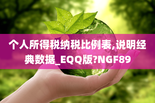 个人所得税纳税比例表,说明经典数据_EQQ版?NGF89