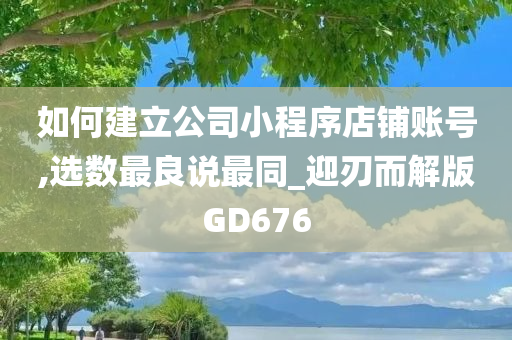 如何建立公司小程序店铺账号,选数最良说最同_迎刃而解版GD676