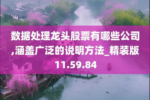 数据处理龙头股票有哪些公司,涵盖广泛的说明方法_精装版11.59.84