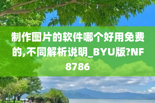 制作图片的软件哪个好用免费的,不同解析说明_BYU版?NF8786