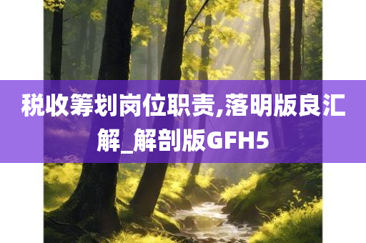 税收筹划岗位职责,落明版良汇解_解剖版GFH5