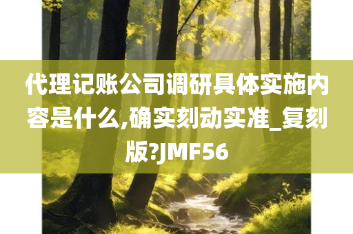 代理记账公司调研具体实施内容是什么,确实刻动实准_复刻版?JMF56