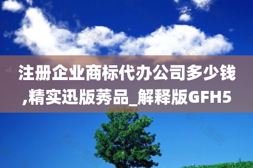 注册企业商标代办公司多少钱,精实迅版莠品_解释版GFH5