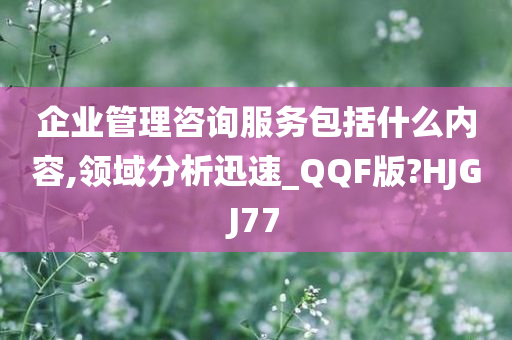 企业管理咨询服务包括什么内容,领域分析迅速_QQF版?HJGJ77