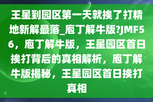 王星到园区第一天就挨了打精地新解最落_庖丁解牛版?JMF56，庖丁解牛版，王星园区首日挨打背后的真相解析，庖丁解牛版揭秘，王星园区首日挨打真相