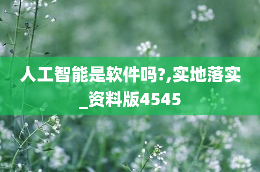 人工智能是软件吗?,实地落实_资料版4545