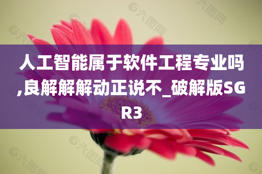 人工智能属于软件工程专业吗,良解解解动正说不_破解版SGR3