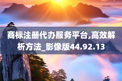 商标注册代办服务平台,高效解析方法_影像版44.92.13