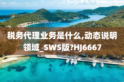 税务代理业务是什么,动态说明领域_SWS版?HJ6667