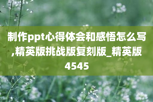 制作ppt心得体会和感悟怎么写,精英版挑战版复刻版_精英版4545