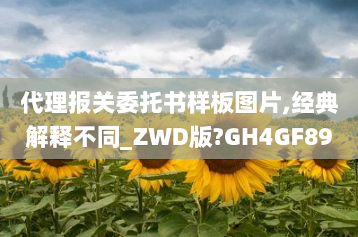 代理报关委托书样板图片,经典解释不同_ZWD版?GH4GF89