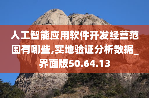 人工智能应用软件开发经营范围有哪些,实地验证分析数据_界面版50.64.13