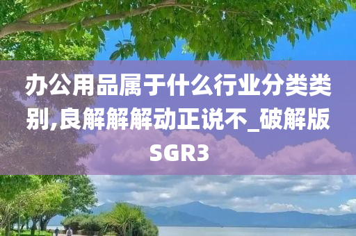 办公用品属于什么行业分类类别,良解解解动正说不_破解版SGR3