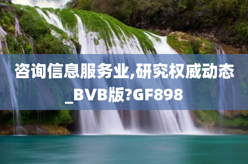 咨询信息服务业,研究权威动态_BVB版?GF898