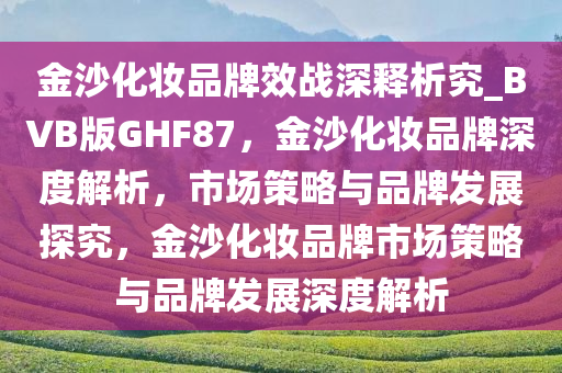 金沙化妆品牌效战深释析究_BVB版GHF87，金沙化妆品牌深度解析，市场策略与品牌发展探究，金沙化妆品牌市场策略与品牌发展深度解析