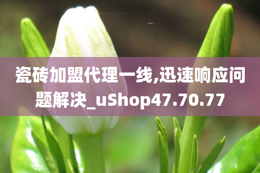 瓷砖加盟代理一线,迅速响应问题解决_uShop47.70.77