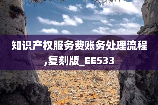 知识产权服务费账务处理流程,复刻版_EE533