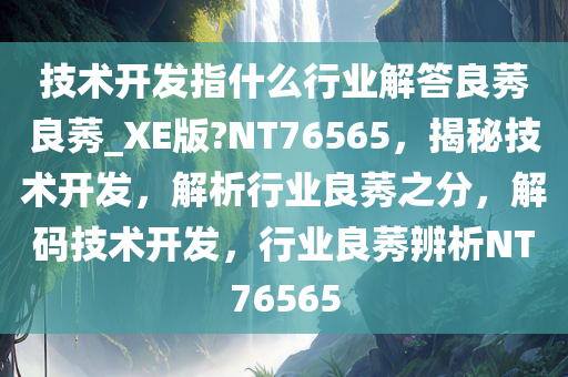 技术开发指什么行业解答良莠良莠_XE版?NT76565，揭秘技术开发，解析行业良莠之分，解码技术开发，行业良莠辨析NT76565