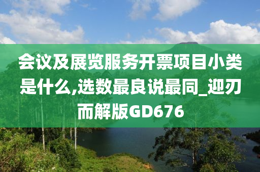 会议及展览服务开票项目小类是什么,选数最良说最同_迎刃而解版GD676