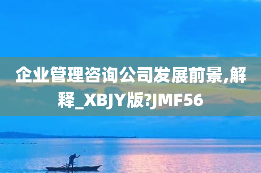 企业管理咨询公司发展前景,解释_XBJY版?JMF56