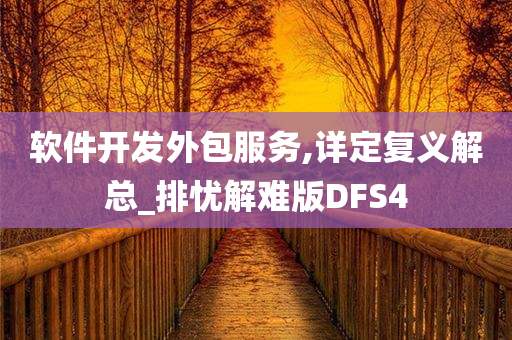 软件开发外包服务,详定复义解总_排忧解难版DFS4