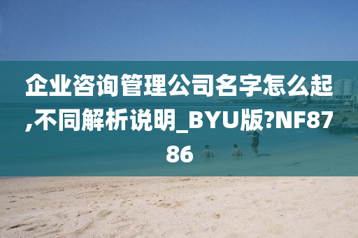 企业咨询管理公司名字怎么起,不同解析说明_BYU版?NF8786