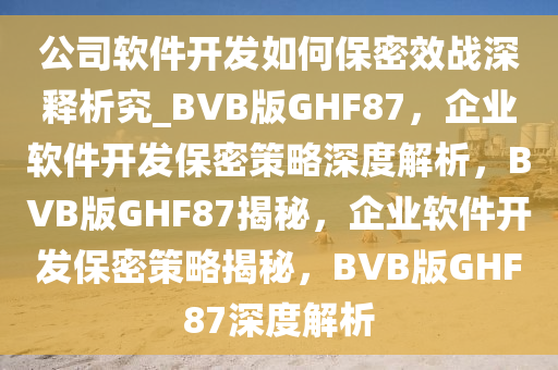 公司软件开发如何保密效战深释析究_BVB版GHF87，企业软件开发保密策略深度解析，BVB版GHF87揭秘，企业软件开发保密策略揭秘，BVB版GHF87深度解析