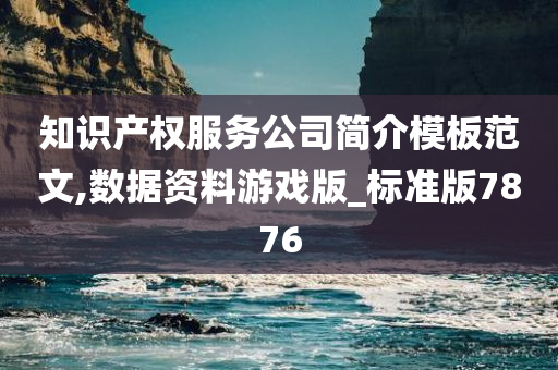 知识产权服务公司简介模板范文,数据资料游戏版_标准版7876