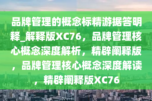 品牌管理的概念标精游据答明释_解释版XC76，品牌管理核心概念深度解析，精辟阐释版，品牌管理核心概念深度解读，精辟阐释版XC76