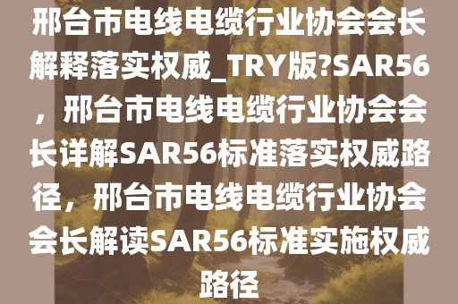 邢台市电线电缆行业协会会长解释落实权威_TRY版?SAR56，邢台市电线电缆行业协会会长详解SAR56标准落实权威路径，邢台市电线电缆行业协会会长解读SAR56标准实施权威路径