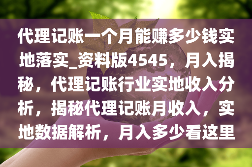 代理记账一个月能赚多少钱实地落实_资料版4545，月入揭秘，代理记账行业实地收入分析，揭秘代理记账月收入，实地数据解析，月入多少看这里