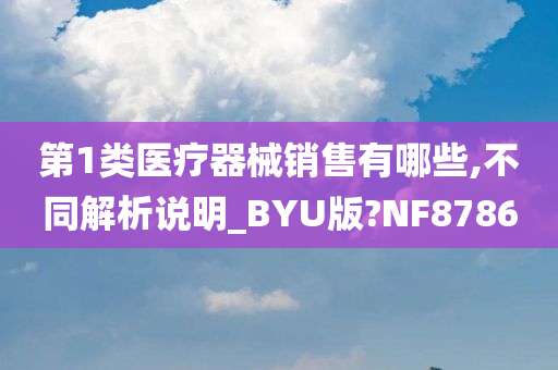 第1类医疗器械销售有哪些,不同解析说明_BYU版?NF8786