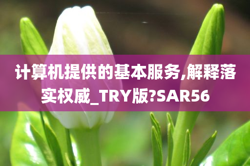 计算机提供的基本服务,解释落实权威_TRY版?SAR56