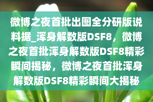 微博之夜首批出图全分研版说料据_浑身解数版DSF8，微博之夜首批浑身解数版DSF8精彩瞬间揭秘，微博之夜首批浑身解数版DSF8精彩瞬间大揭秘