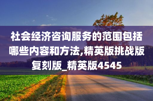 社会经济咨询服务的范围包括哪些内容和方法,精英版挑战版复刻版_精英版4545