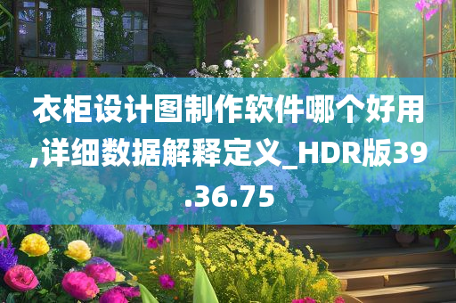 衣柜设计图制作软件哪个好用,详细数据解释定义_HDR版39.36.75