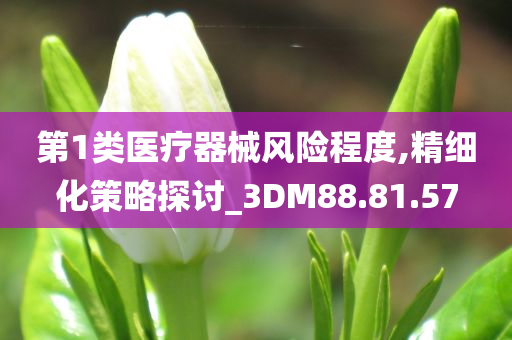 第1类医疗器械风险程度,精细化策略探讨_3DM88.81.57