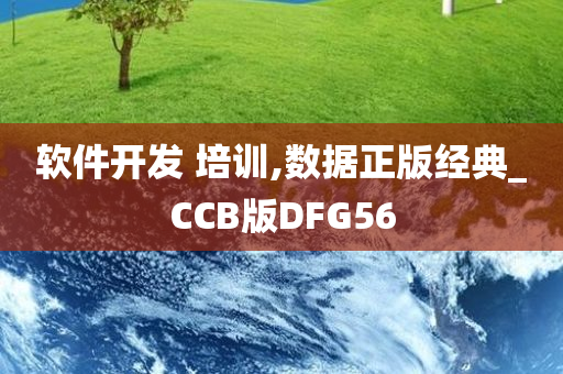 软件开发 培训,数据正版经典_CCB版DFG56