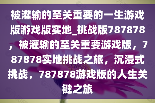 被灌输的至关重要的一生游戏版游戏版实地_挑战版787878，被灌输的至关重要游戏版，787878实地挑战之旅，沉浸式挑战，787878游戏版的人生关键之旅